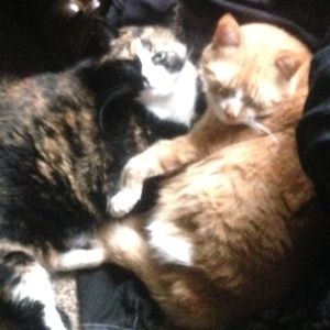 Meet your Posher, Annette